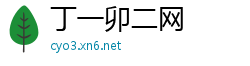 丁一卯二网